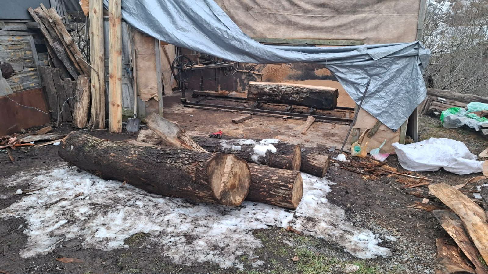  The Department of Environmental supervision has identified four illegal sawmills
