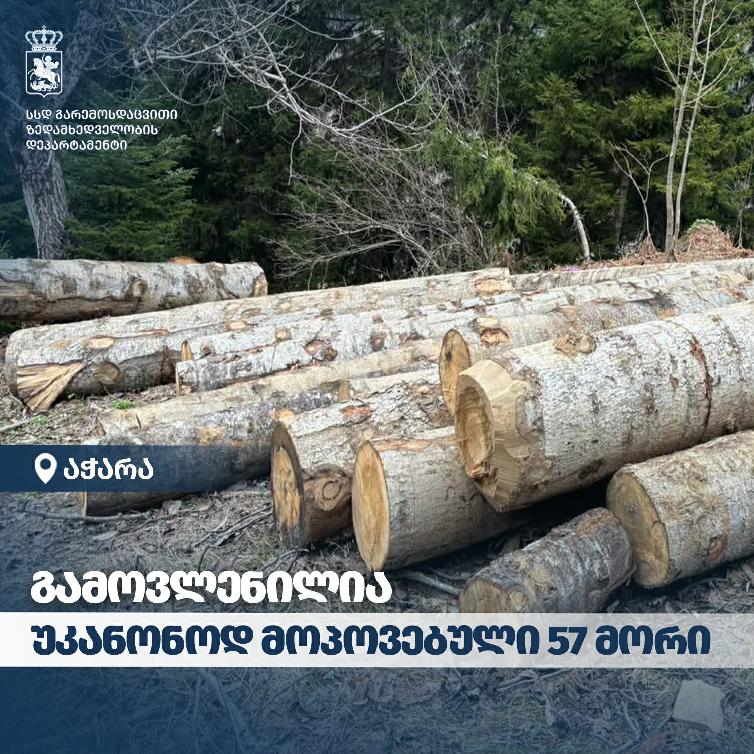 The Department of Environmental Supervision has identified 10 cases of illegal forest use in Adjara.