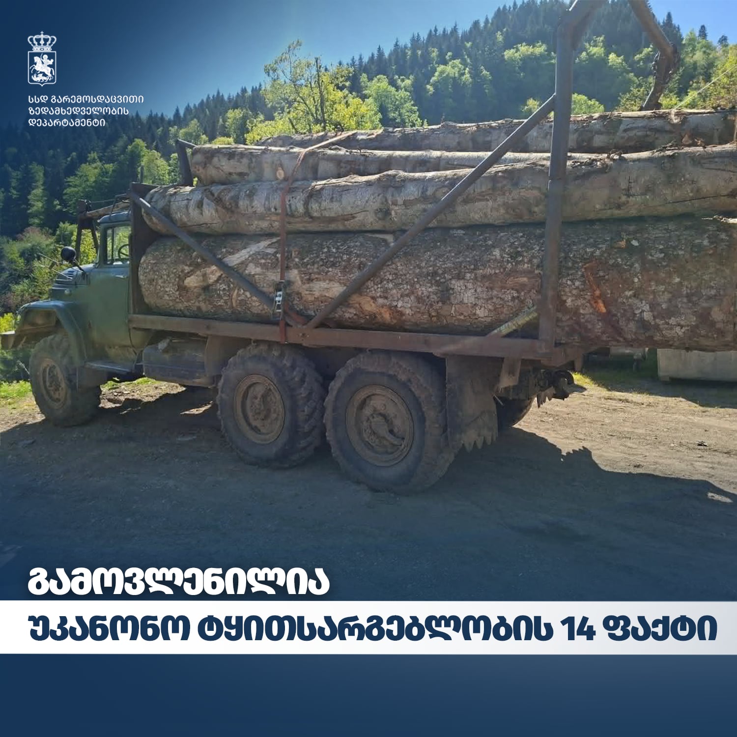  The Department of Environmental Supervision has identified cases of illegal timber transportation
