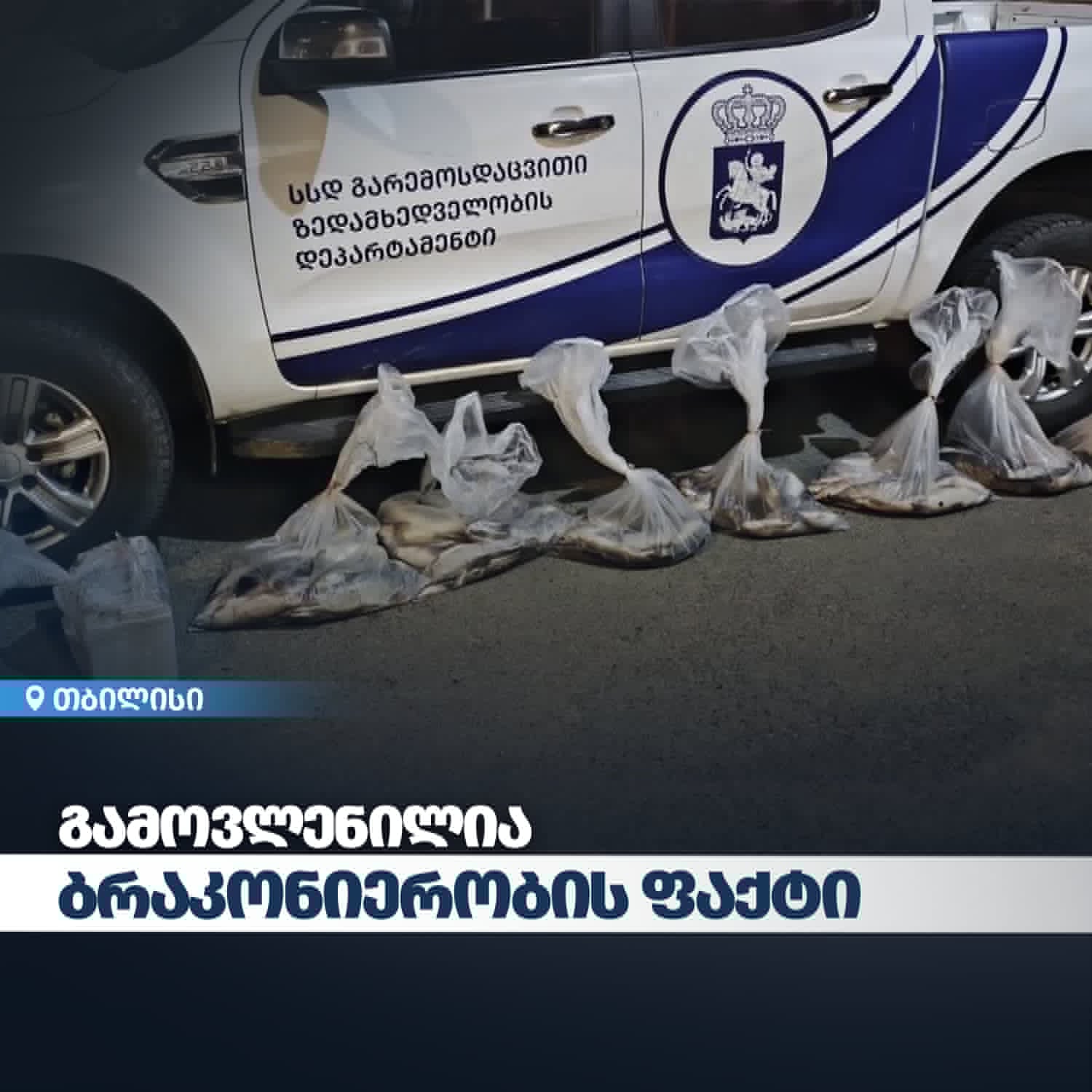 The Department of Environmental Supervision identified a case of poaching in Tbilisi