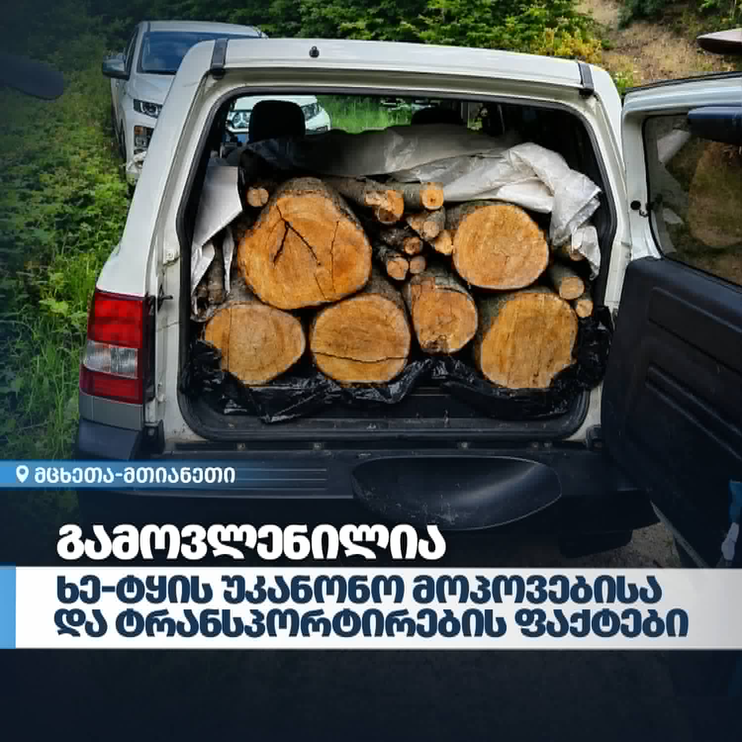  The Department of Environmental Supervision has identified cases of illegal logging and timber transportation in the Mtskheta-Mtianeti region