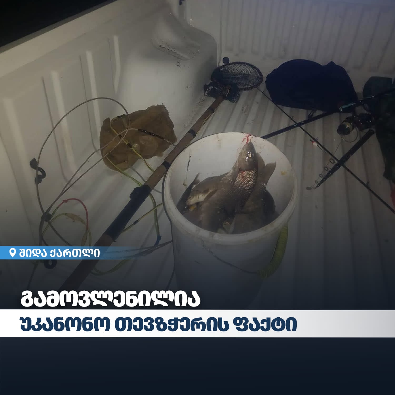  The Department of Environmental Supervision identified a case of poaching in Shida Kartli