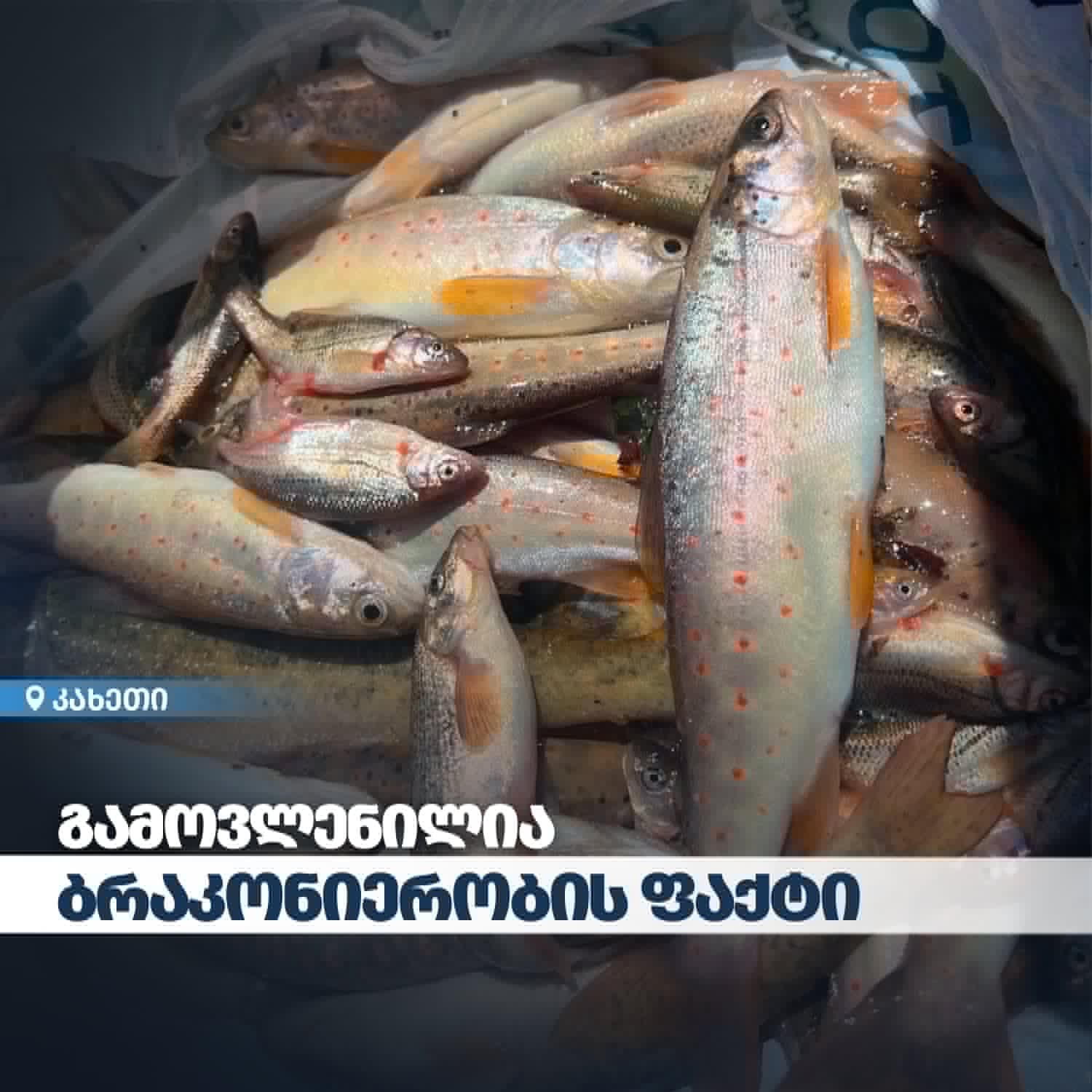  The Department of Environmental Supervision Identified a Poaching Incident in Kakheti