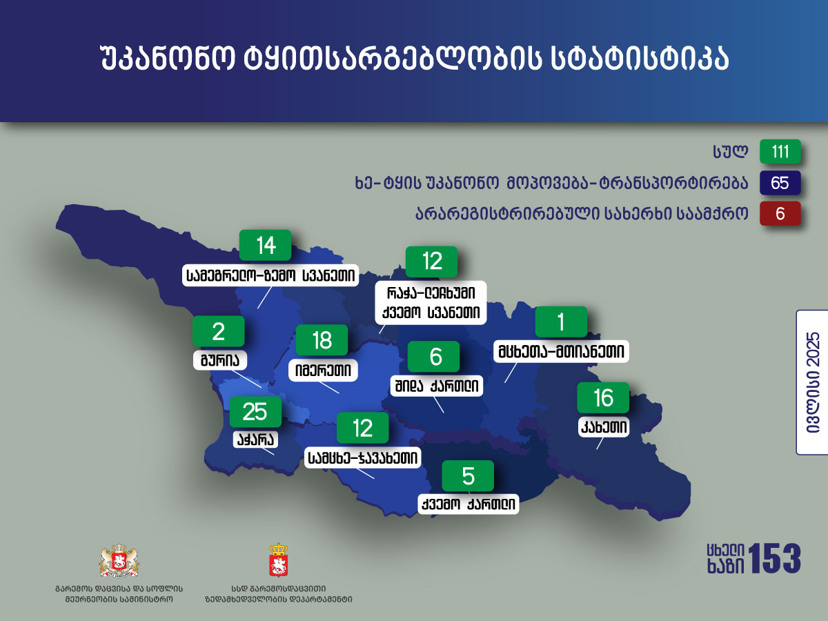 გარემოსდაცვითი ზედამხედველობის დეპარტამენტის თანამშრომლებმა ივლისში უკანონო ტყითსარგებლობის 111 ფაქტი გამოავლინეს