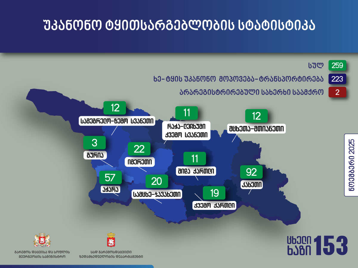 გარემოსდაცვითი ზედამხედველობის დეპარტამენტმა ნოემბერში უკანონო ტყითსარგებლობის 259 ფაქტი გამოავლინა