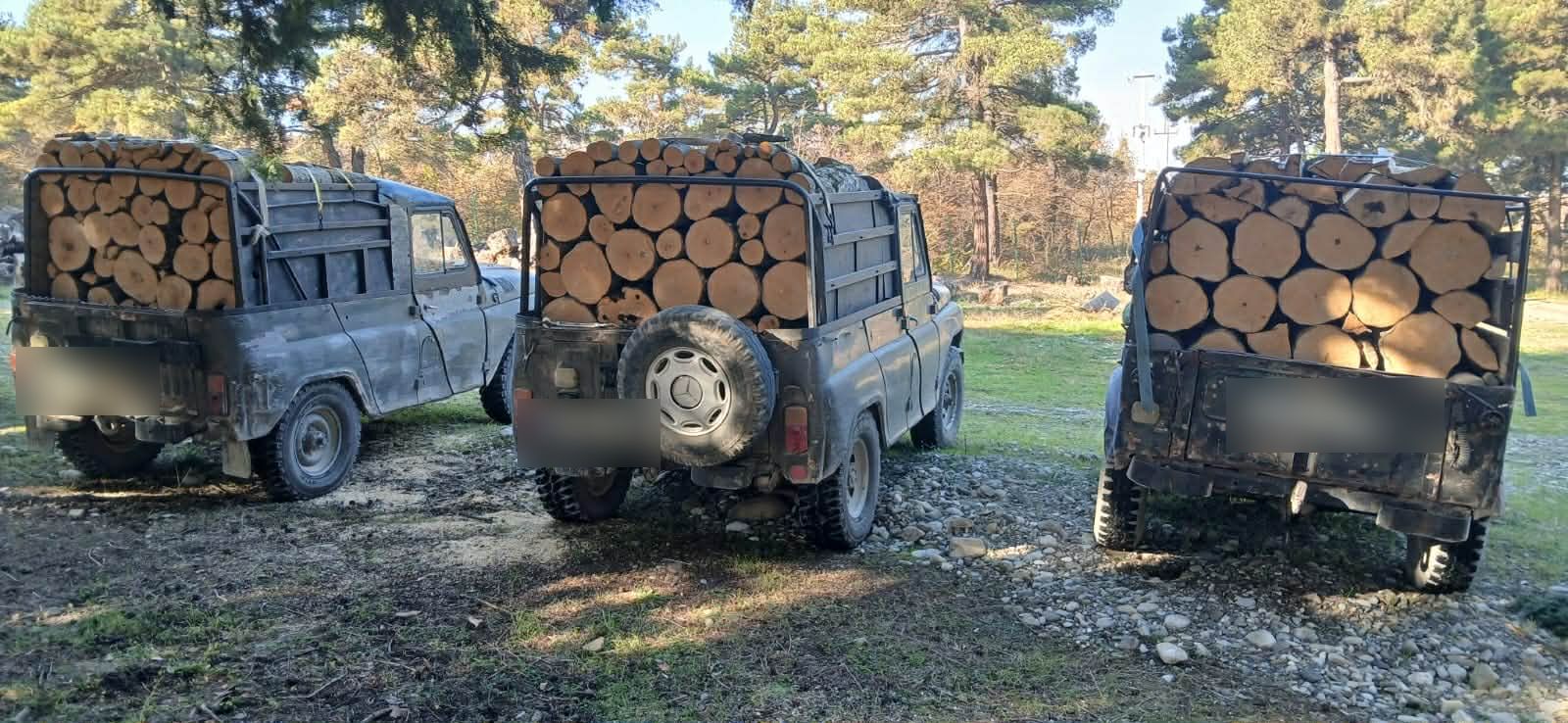 გარემოსდაცვითი ზედამხედველობის დეპარტამენტმა ხე-ტყის უკანონო მოპოვებისა და ტრანსპორტირების ფაქტები გამოავლინა