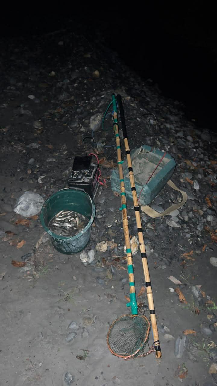 გარემოსდაცვითი ზედამხედველობის დეპარტამენტმა კახეთში ელექტროიარაღით უკანონო თევზჭერის ფაქტი გამოავლინა