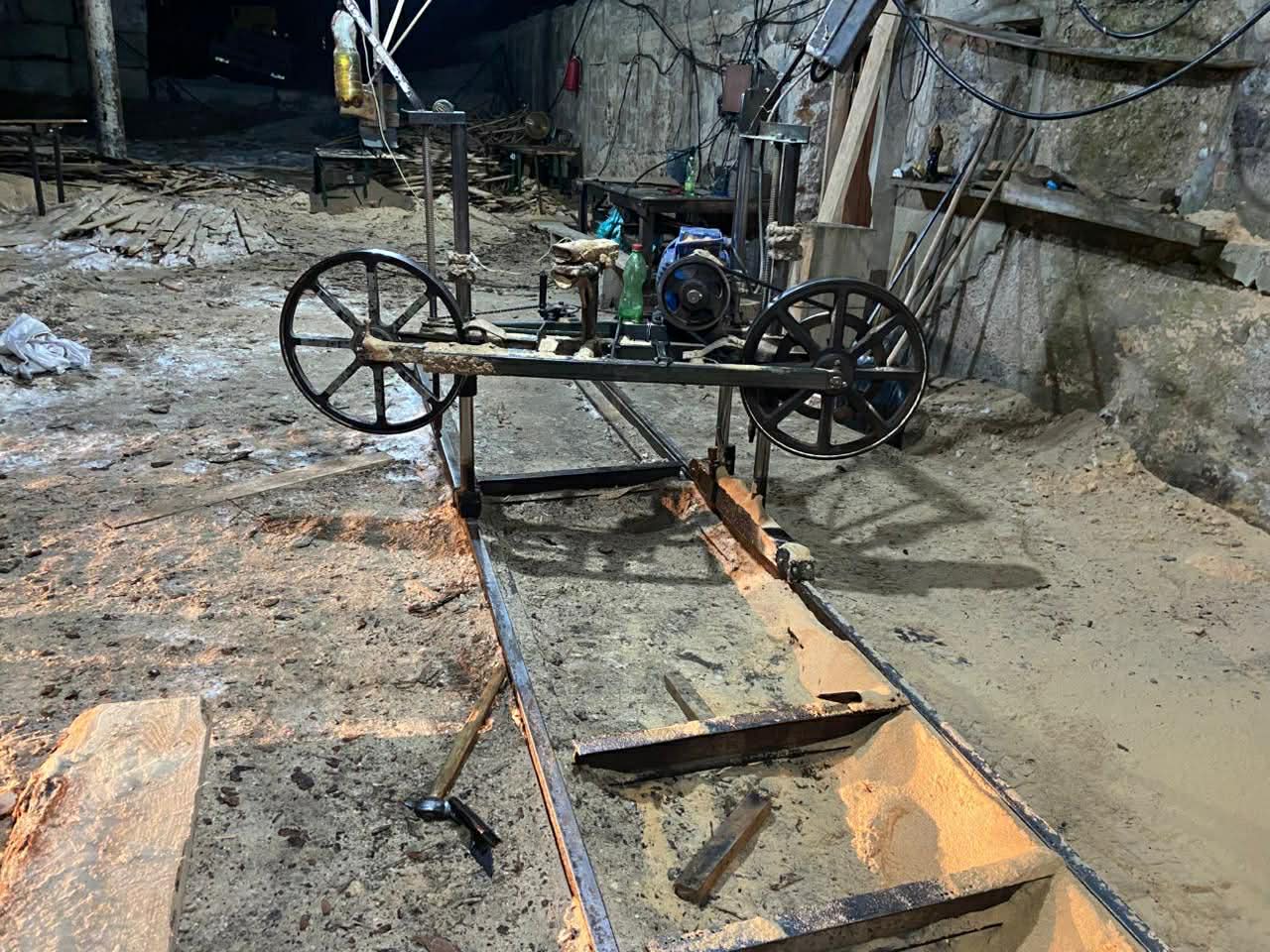 ბოლო 5 წელიწადში უკანონო ტყითსარგებლობის ფაქტების კლება ფიქსირდება