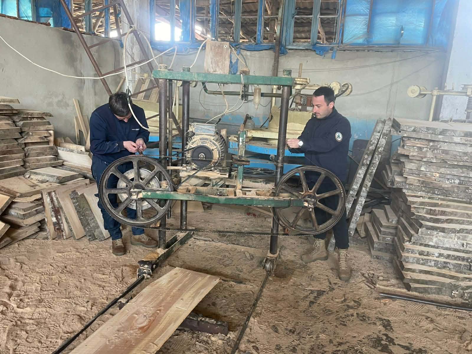 გარემოსდაცვითი ზედამხედველობის დეპარტამენტმა იმერეთში უკანონო სახერხი საამქროები გამოავლინა