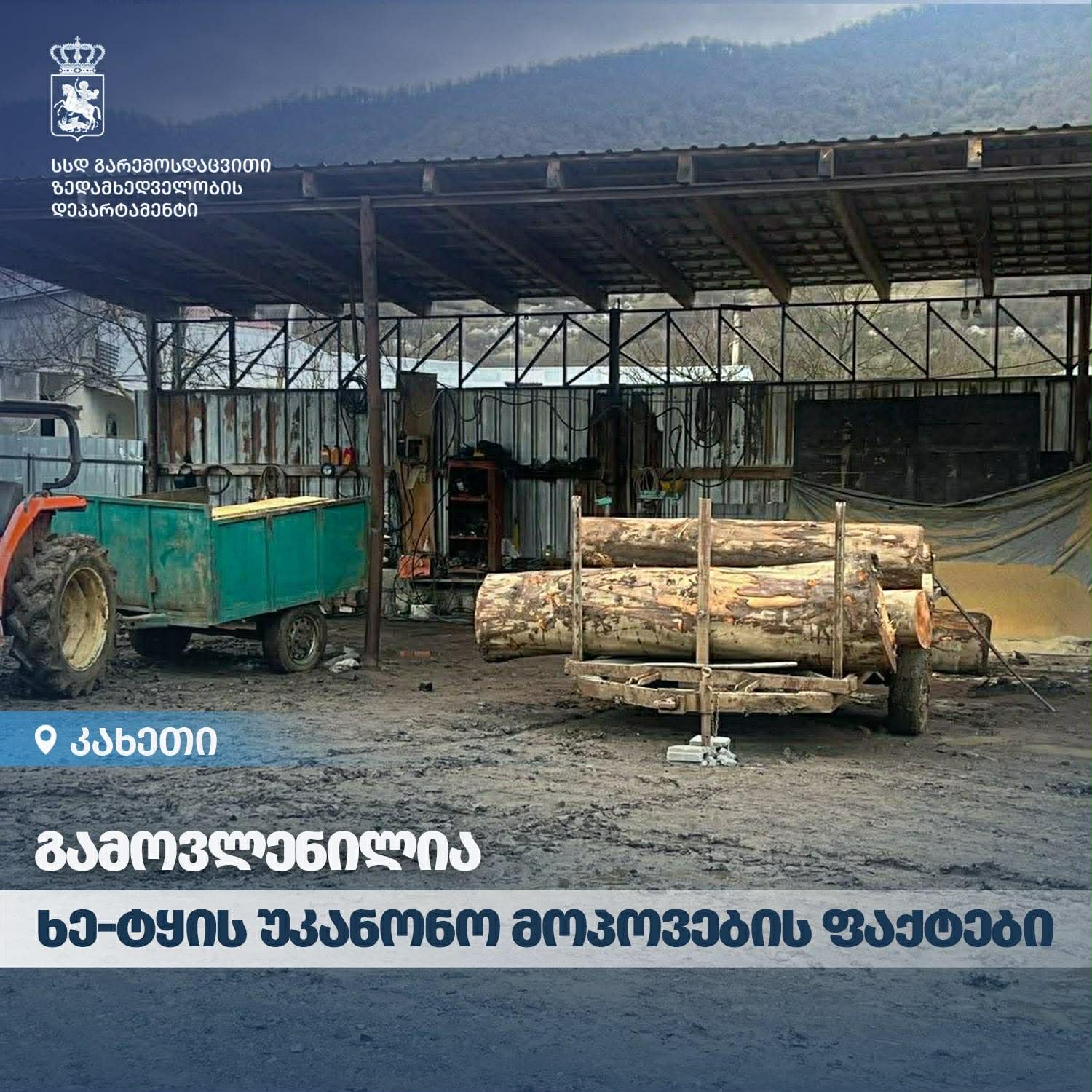 გარემოსდაცვითი ზედამხედველობის დეპარტამენტმა კახეთში ხე-ტყის უკანონო მოპოვების ფაქტები  გამოავლინა