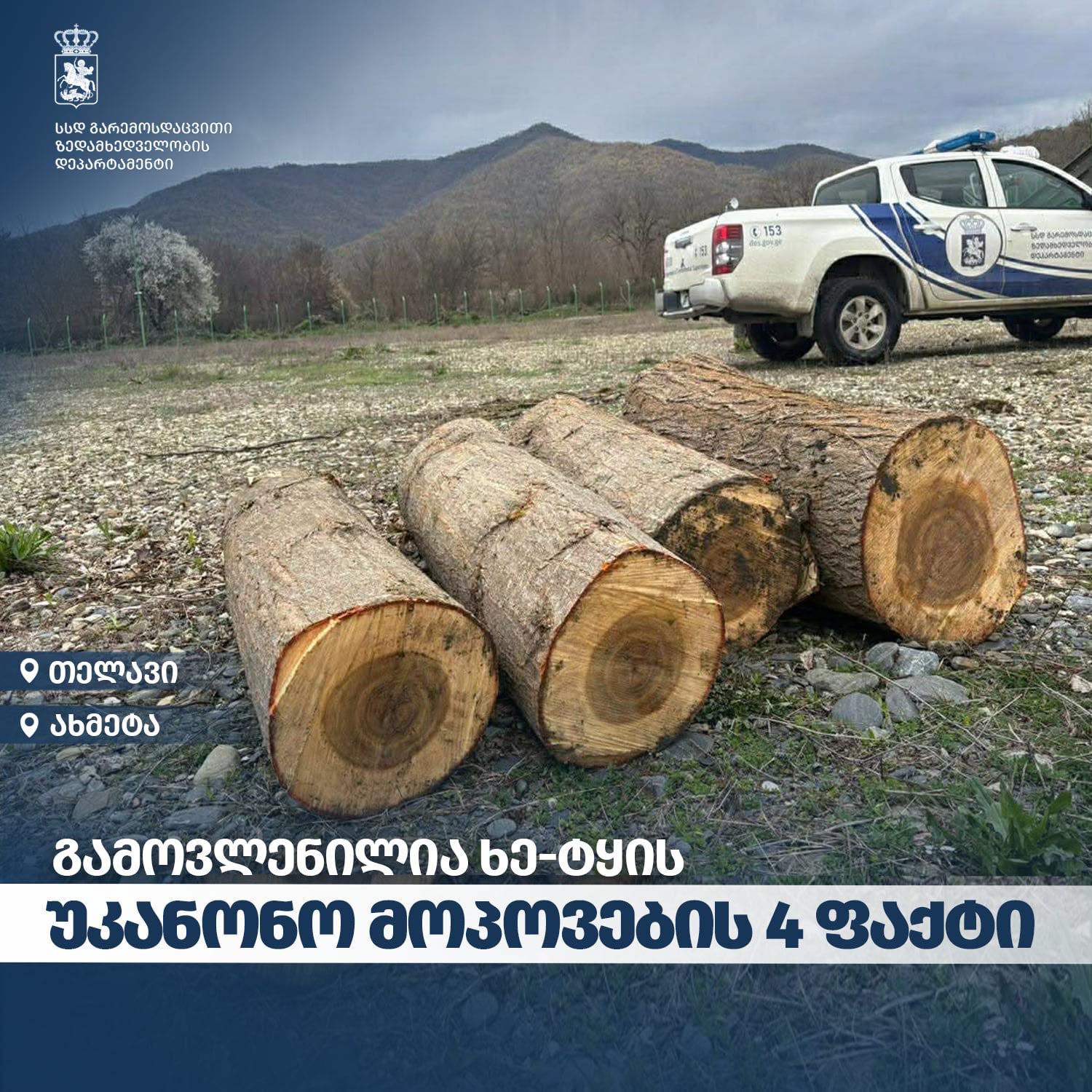 გარემოსდაცვითი ზედამხედველობის დეპარტამენტმა კახეთში უკანონო ტყითსარგებლობის 4 ფაქტი გამოავლინა