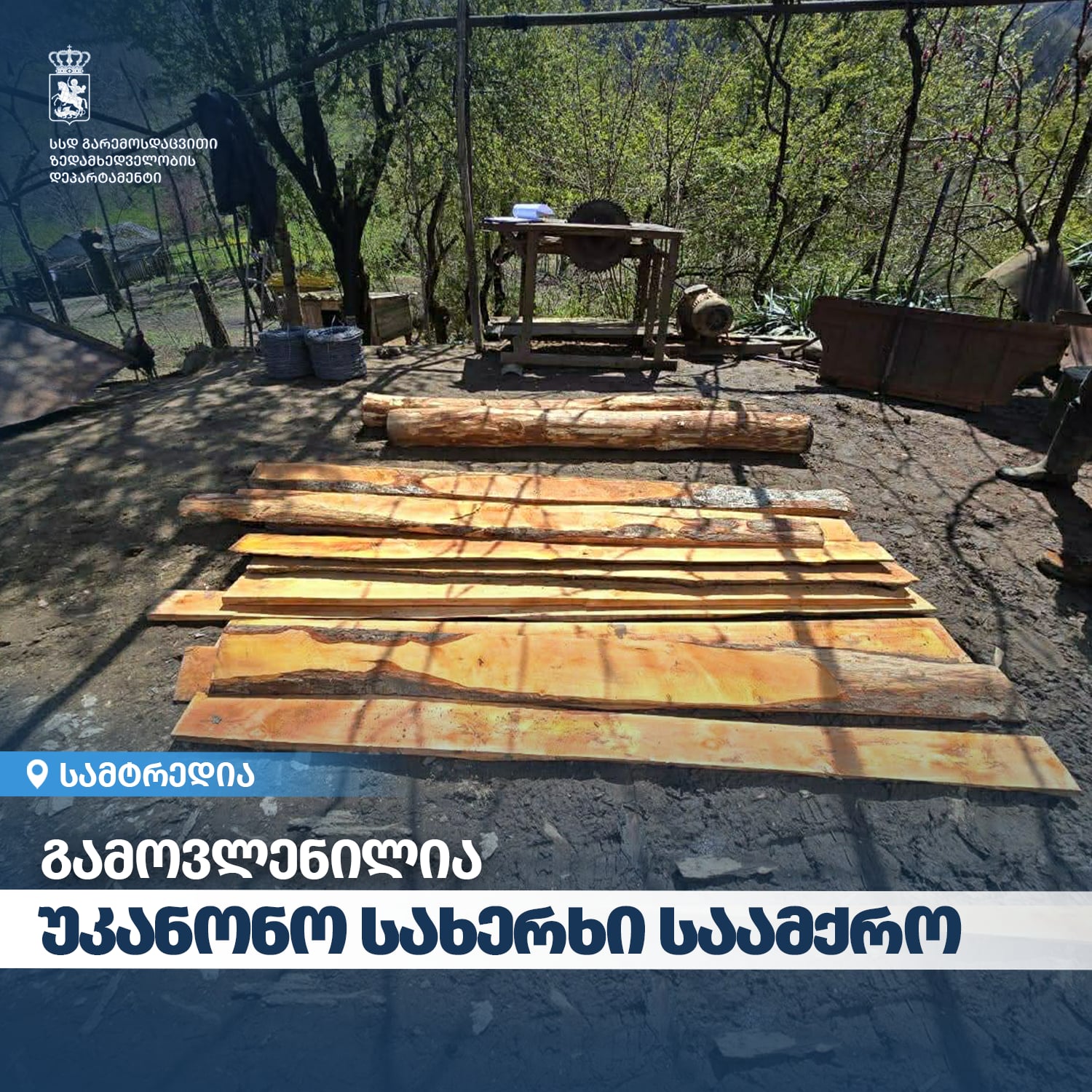 გარემოსდაცვითი ზედამხედველობის დეპარტამენტმა იმერეთში უკანონო სახერხი საამქრო გამოავლინა