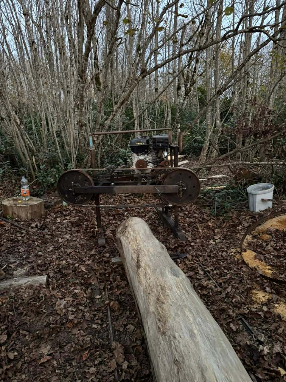 გარემოსდაცვითი ზედამხედველობის დეპარტამენტმა იმერეთში უკანონო სახერხი საამქრო გამოავლინა